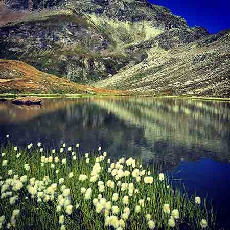 Laghi Pinter, 2700 möh