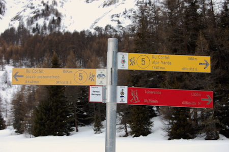 Champoluc snowshoes trails
