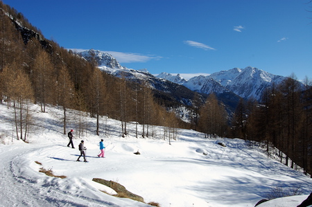 Champoluc snowshoes trails
