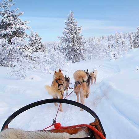 New ways of travelling