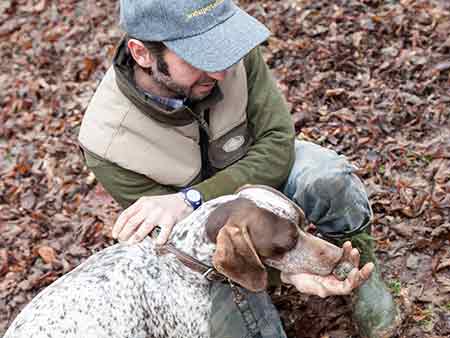 Truffle hunting