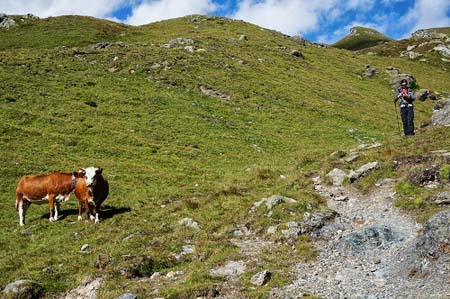 Alta Via 1 tour in Monterosa