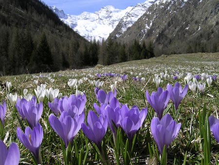 Alta Via 2 Gran Paradiso