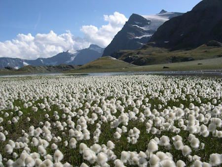 Gran Paradiso National Park