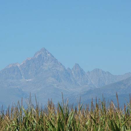 Monte Viso tour