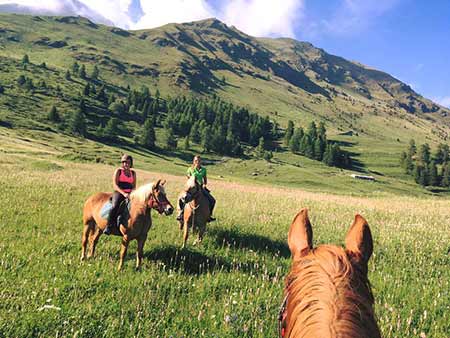 The Alps from the horseback