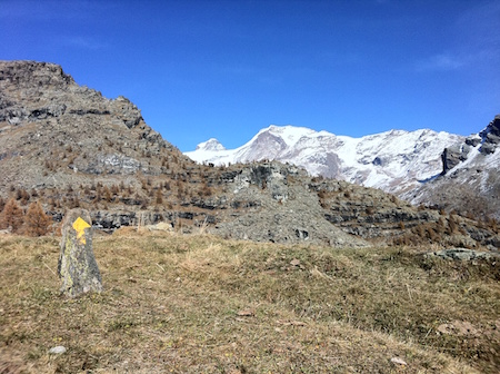 Trekking in Monterosa